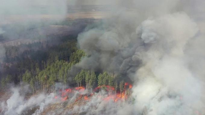 Požare naj bi 4. aprila povzročil 27-letni moški, ki naj bi v bližini prepovedanega območja "za zabavo" zakuril suho travo in smeti. | Foto: Reuters