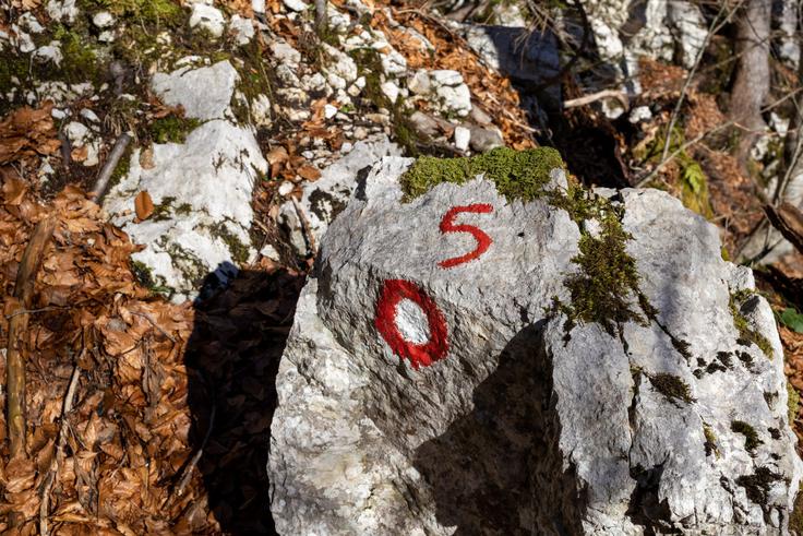 Serpentine na vzponu na Komno so oštevilčene. | Foto: Matej Podgoršek