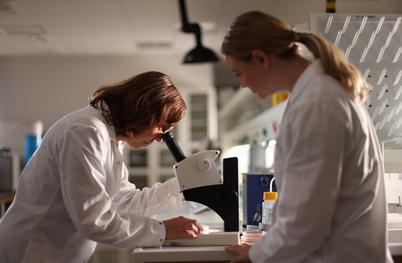 Slovenski znanstveniki razvijajo "živo kožo", ki bo spremenila gradbeništvo