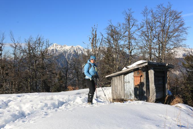 Jerebikovec nad Mojstrano ponuja veličastne poglede na Karavanke in Julijske Alpe. | Foto: Boris Strmšek in Tamara Leskovar
