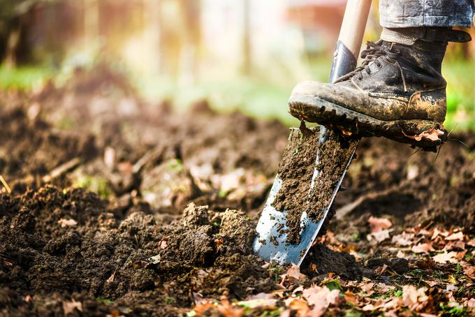 Manjše vrtove je bolje prekopati ročno kot strojno, saj tako manj poškodujemo strukturo tal. | Foto: Shutterstock