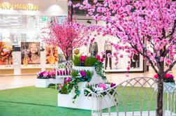 ALEJA pozdravlja pomlad in ob dnevu žena podarja rože