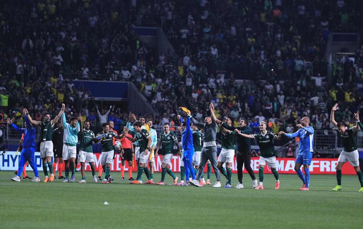 Palmeiras | Palmeiras so Sao Paulu nadoknadil veliko razliko in se uvrstil v finale. | Foto Guliverimage