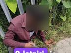 Pedofil