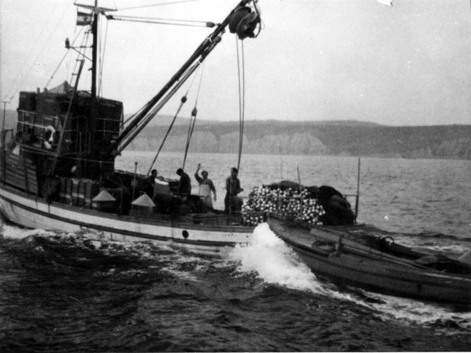 O slovenskem ribištvu na območju med reko Dragonjo in Debelim rtičem lahko govorimo šele od leta 1954. | Foto: Pomorski muzej Sergej Mašera Piran