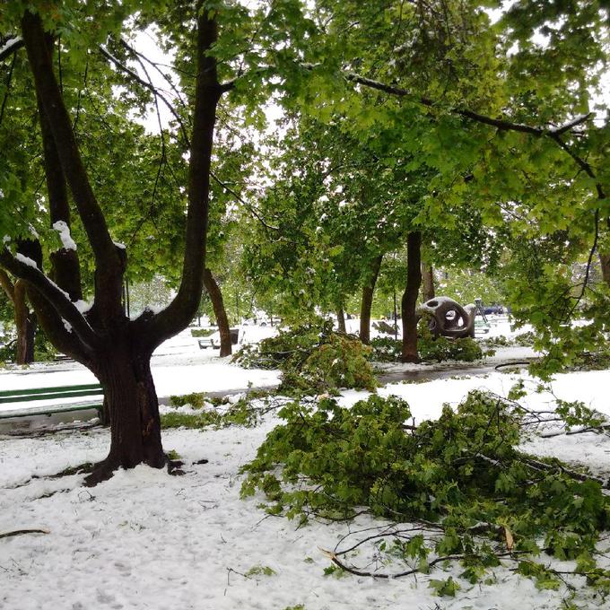Škoda je nastala tudi v ljubljanskem parku Tivoli. | Foto: 