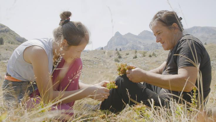 Prizor iz dokumentarca Planina | Foto: Eva Kraljević (Wake up Films)