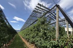 Na Brdu pri Lukovici zagnali pilotni projekt uvajanja agrofotovoltaike #video