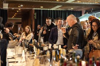 Prestižne slovenske in svetovne vinske hiše in trendi v Stožicah