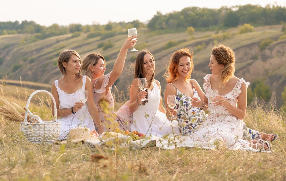 moda, piknik, obleke | Foto Shutterstock