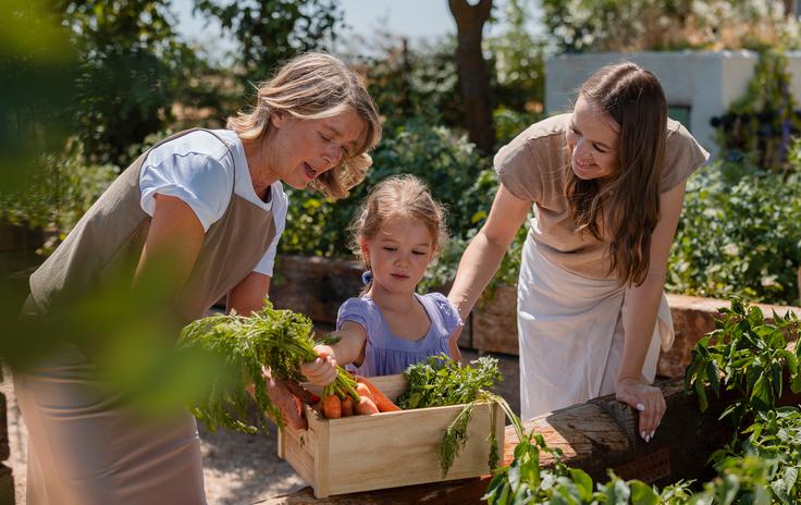 vrt vrtnarjenje | Foto: Shutterstock