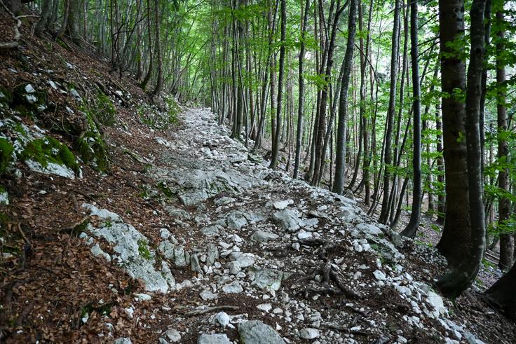 Široka mulatjera iz Lepene do Krnskega jezera | Foto: Matej Podgoršek