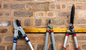 Kakšno orodje je najbolje uporabljati za obrezovanje dreves in urejanje vrta?