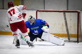 slovenska hokejska reprezentanca : Poljska, Ledna dvorana Tabor, Maribor, Gašper Krošelj