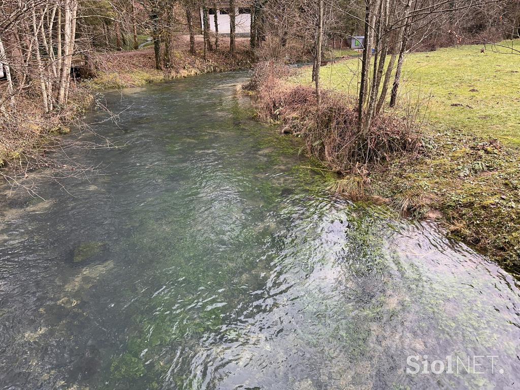Kostanjevica na Krki, reka Studena