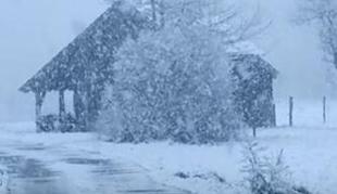 Tako močno je snežilo na Bledu, ponekod 16 centimetrov novozapadlega snega #video