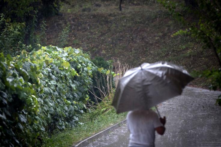V zadnjih letih je bilo najbolj namočeno poletje 2014. | Foto: Ana Kovač