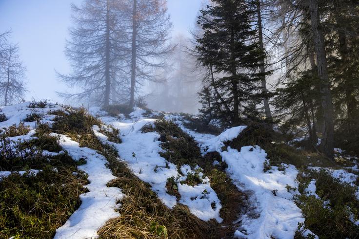 Od prvega mejnega kamna krenemo desno navzgor po grebenu. | Foto: Matej Podgoršek