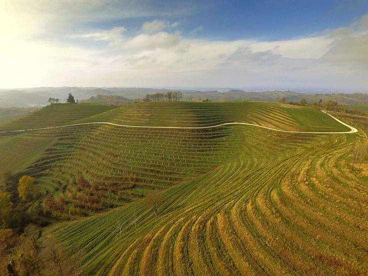 vinograd, Medžimurje. Međimurje Zgornje Medžimurje je gričevnato območje severozahoda Hrvaške ob meji s Slovenijo, kjer prevladujejo razgledni vinorodni hribi in majhne vasi.  | Foto: Hrvaška turistična skupnost