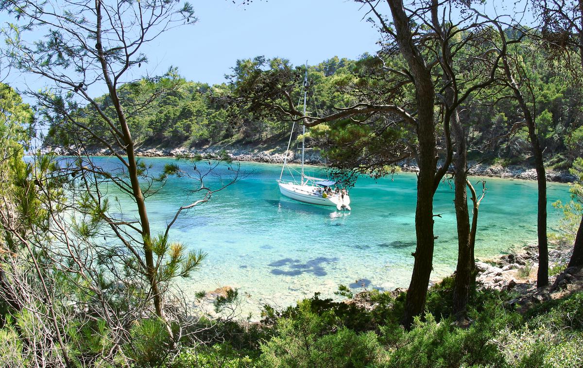 otok Mljet hrvaška obala morje | Foto Shutterstock