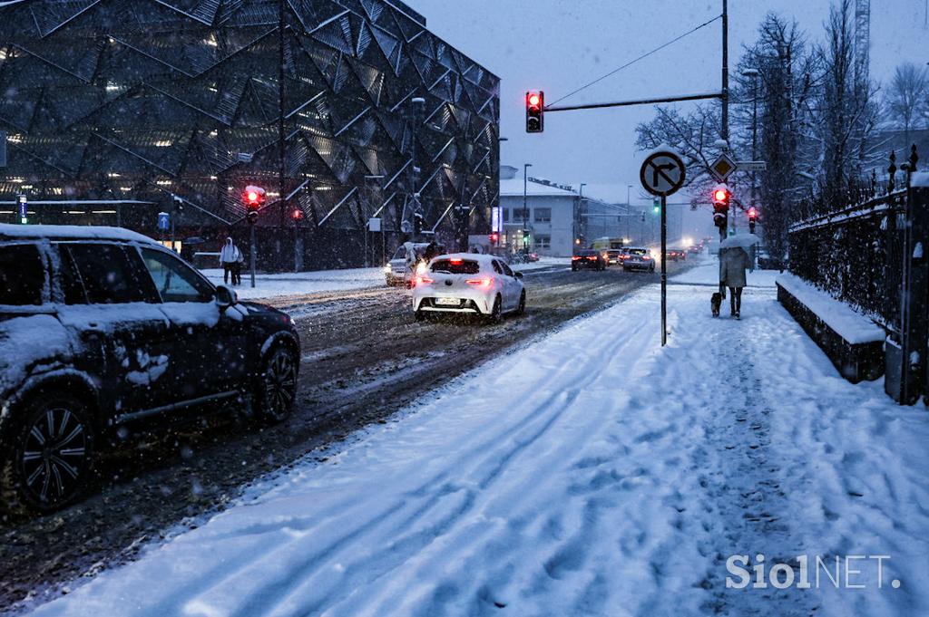 Sneg v Ljubljani