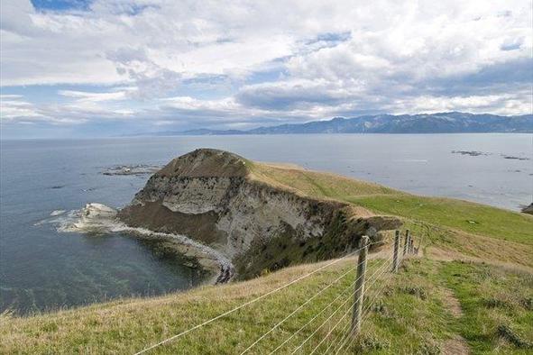 Kaikoura, mesto kitov in lahkih pohodov