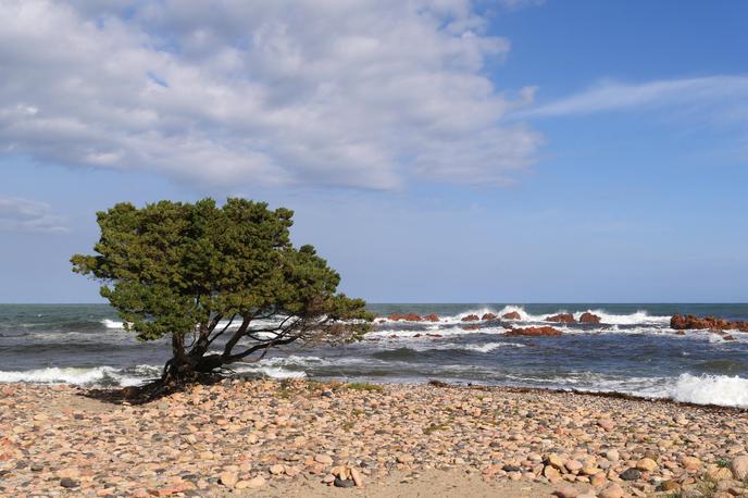 Obala na Sardiniji | Obala na Sardiniji. Fotografija je simbolična. | Foto Guliverimage