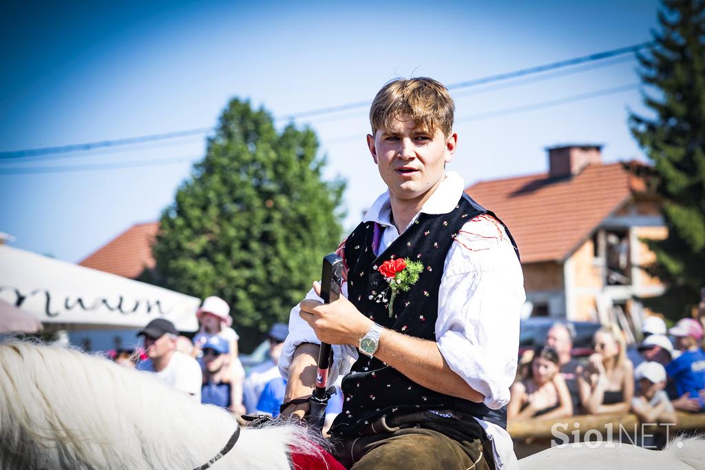 Posavsko štehvanje