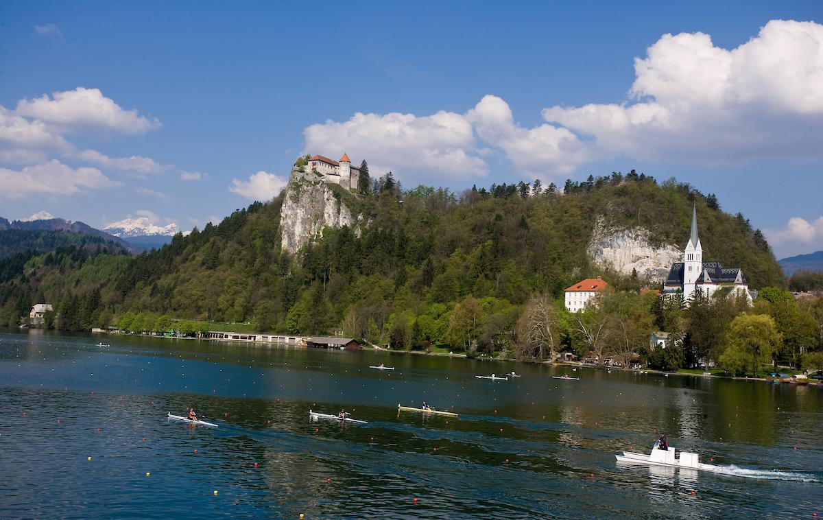 Veslanje Bled | Foto Vid Ponikvar