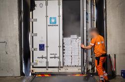 Bili talci roparjev, med mesom našli kokain, zmrznjene pse, kozjo glavo, med sadjem pa živo kačo