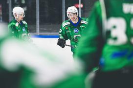 IceHL: HK SŽ Olimpija - Bolzano