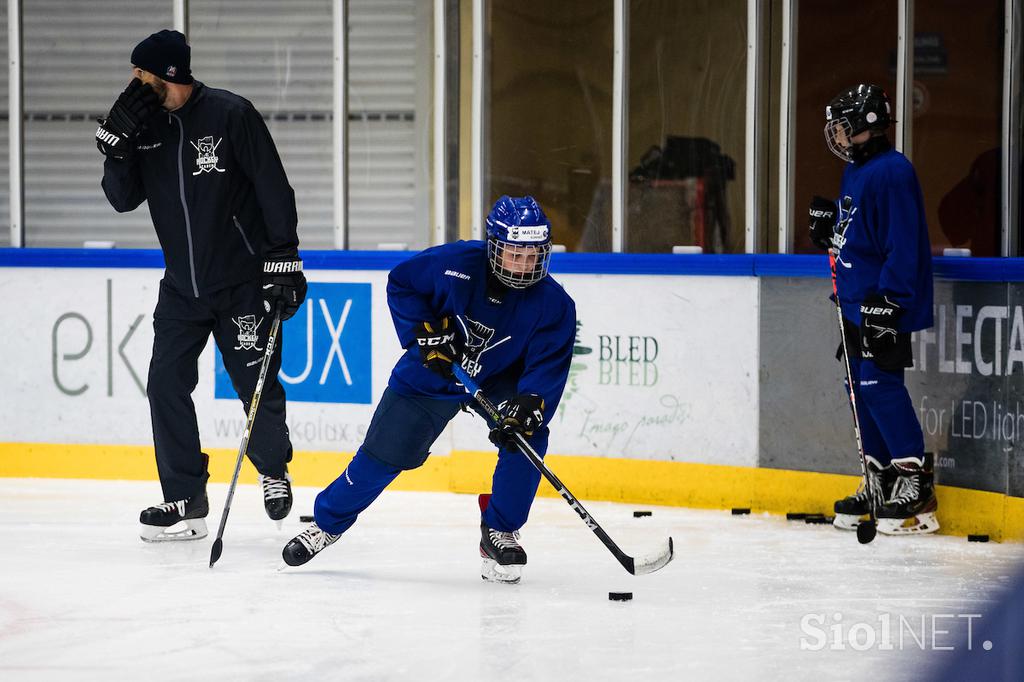 hokejska akademija Anže Kopitar Tomaž Razingar