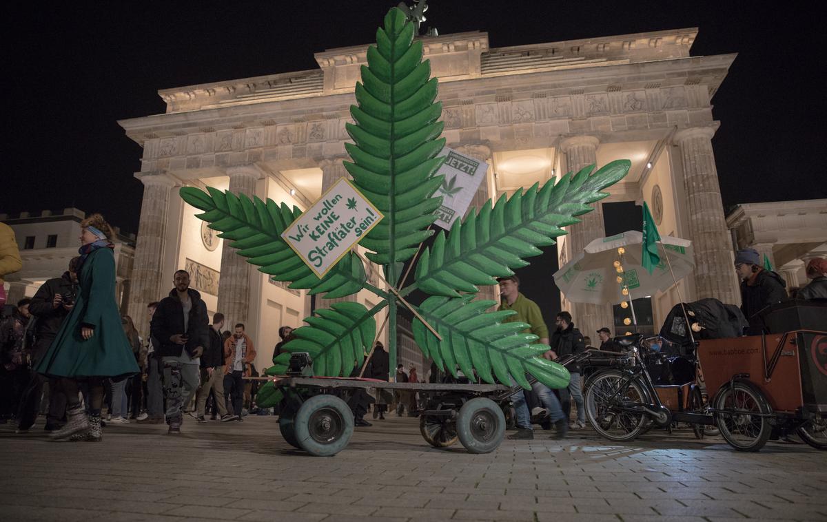 konoplja, Nemčija, legalizacija | Foto Reuters