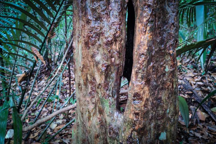 Argentina in Brazilija | Foto: K. M.