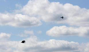 Ali Evropa potrebuje 28 zračnih obramb?