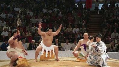 Japonski sumo pod plazom obtožb o zlorabah