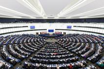 Nsi, volitve v evropski parlament 2024