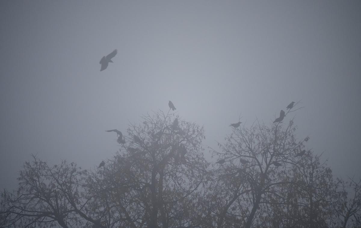 megla, Ljubljana, vreme | Po nižinah v notranjosti bo precej megle. | Foto Nebojša Tejić/STA