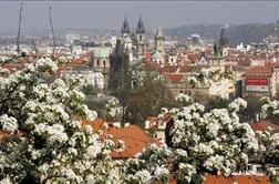 Svetovno prvenstvo 2015 zopet v Pragi