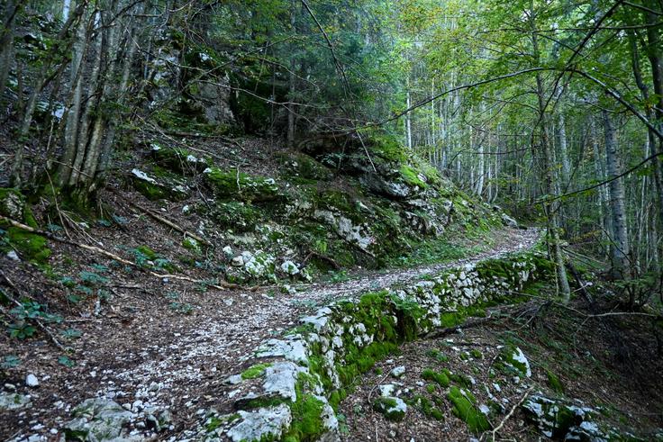 Vzpon po mulatjeri čez Trebiški dol | Foto: Matej Podgoršek