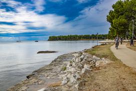 Umag