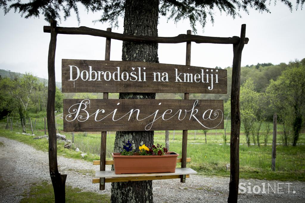 Ekološka kmetija Brinjevka Kras socialna kmetija
