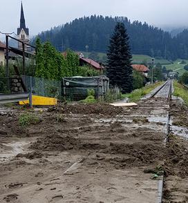 Vuzenica neurje