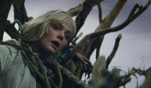 Predator: na vrhu prehranjevalne verige?