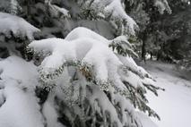 Rogla Lovrenška jezera sneg