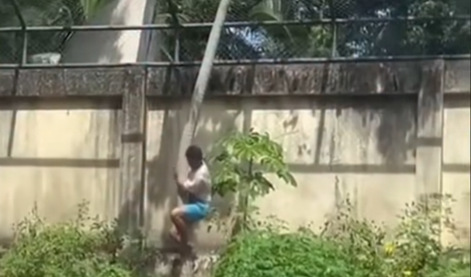 Devetnajstletnik splezal v ogrado k levinji. Ubila ga je pred obiskovalci.