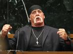 Terry Bollea, Hulk Hogan