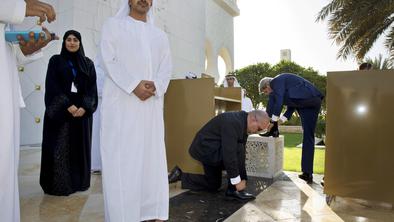 Emirati za posredovanje v Siriji s kopenskimi enotami