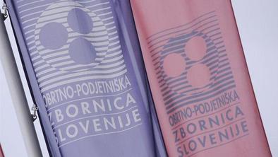Razdrobljenost interesov je rakova rana slovenske obrti 