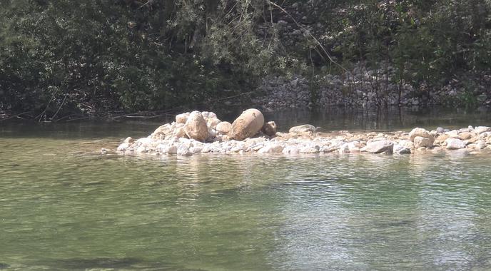 Znano, kdaj bodo odstranili nevarno ameriško letalsko bombo